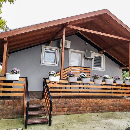 Ferienwohnung S. A. L. Prenociste Zrenjanin Exterior foto